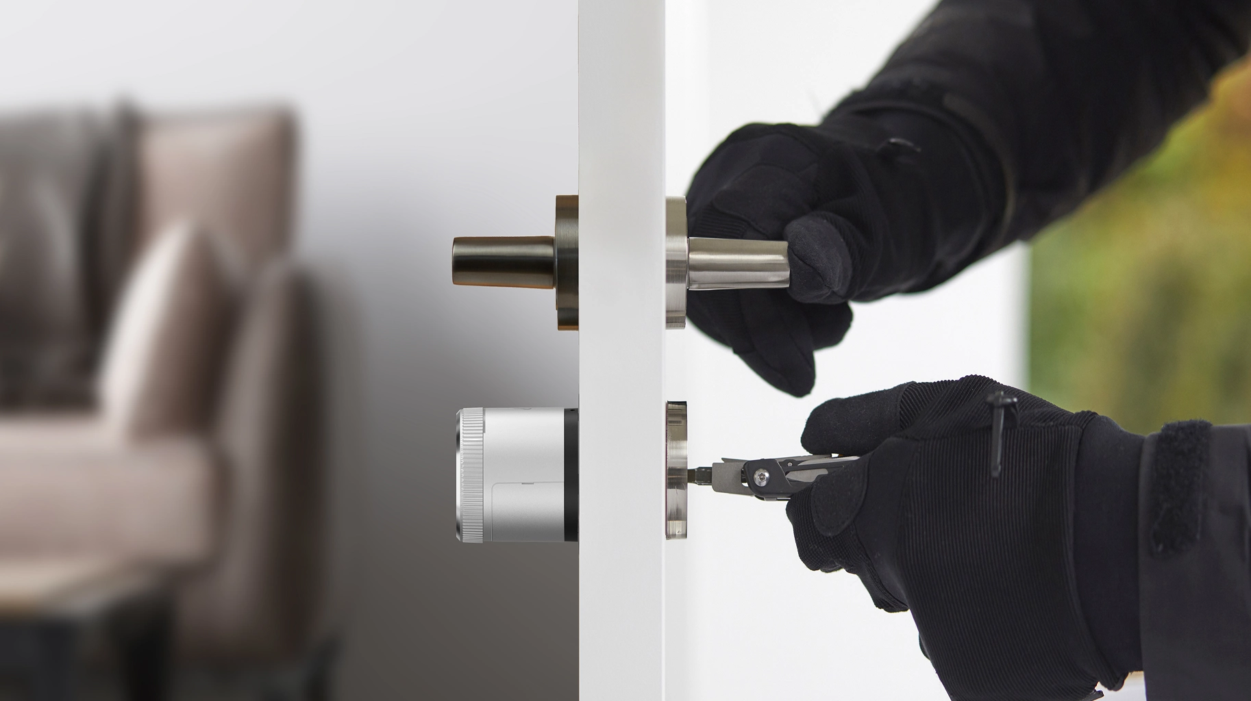 feichauras inteligentes