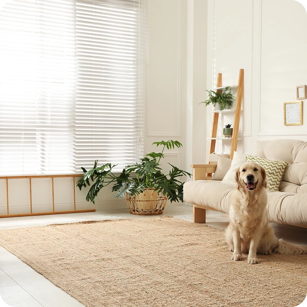 Alarma para casa com animais