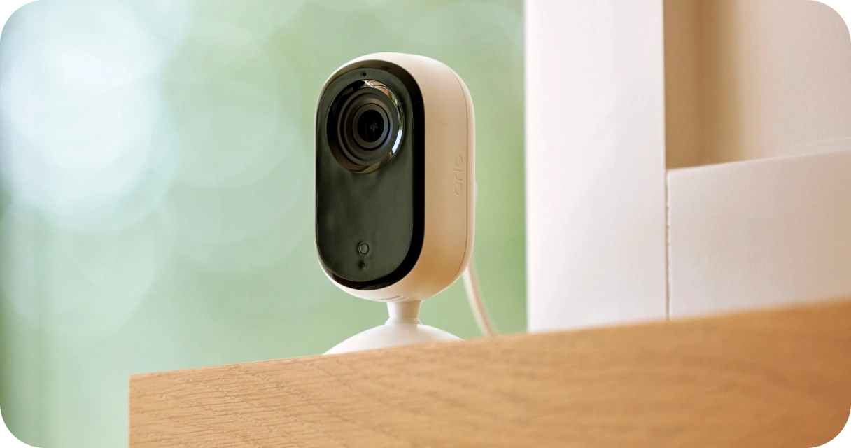 Alarma casa com animais