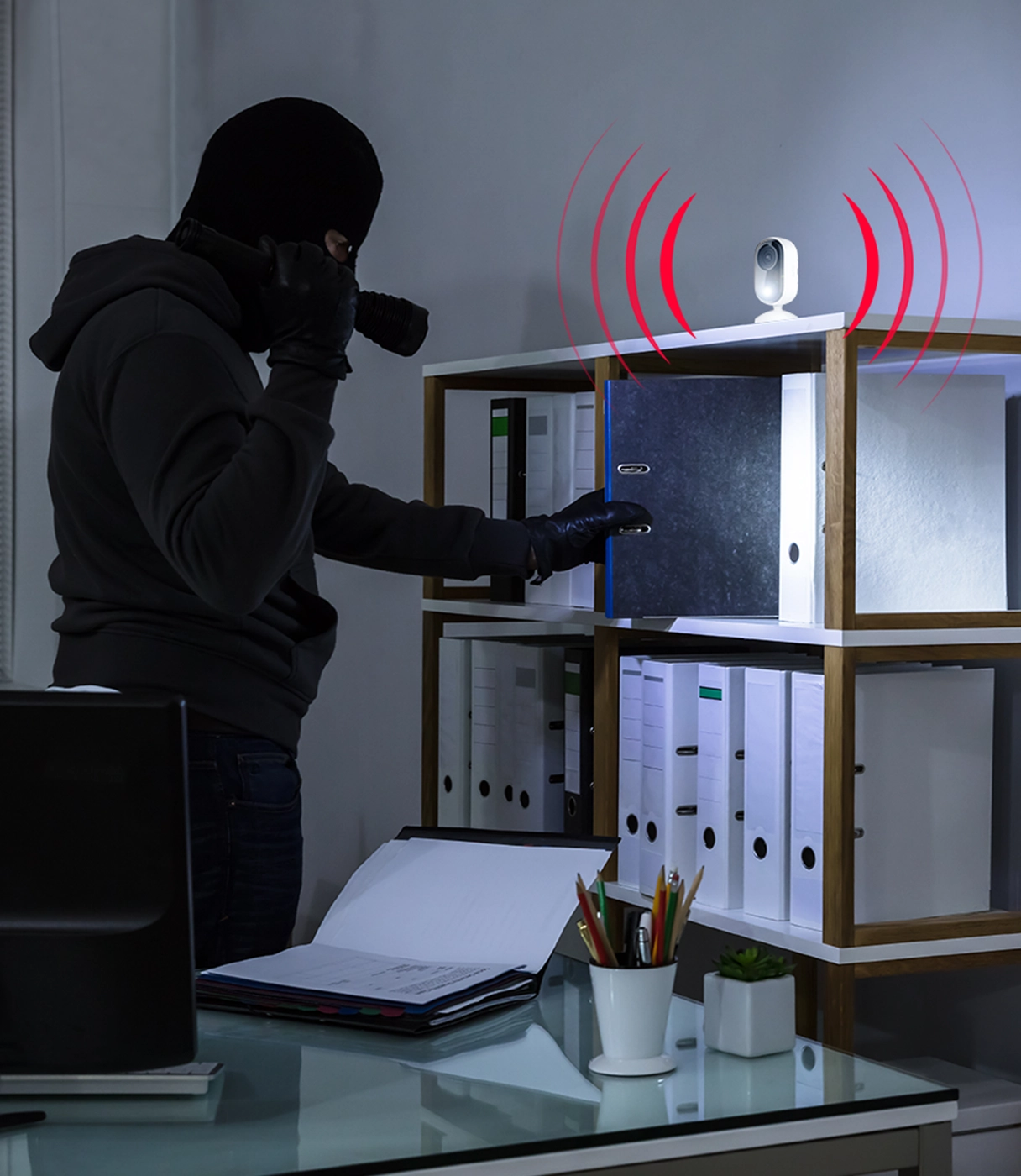 Câmaras de vigilancia empresa deteta intrusos